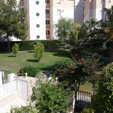 Duplex Calas Blancas 托雷维耶哈 外观 照片